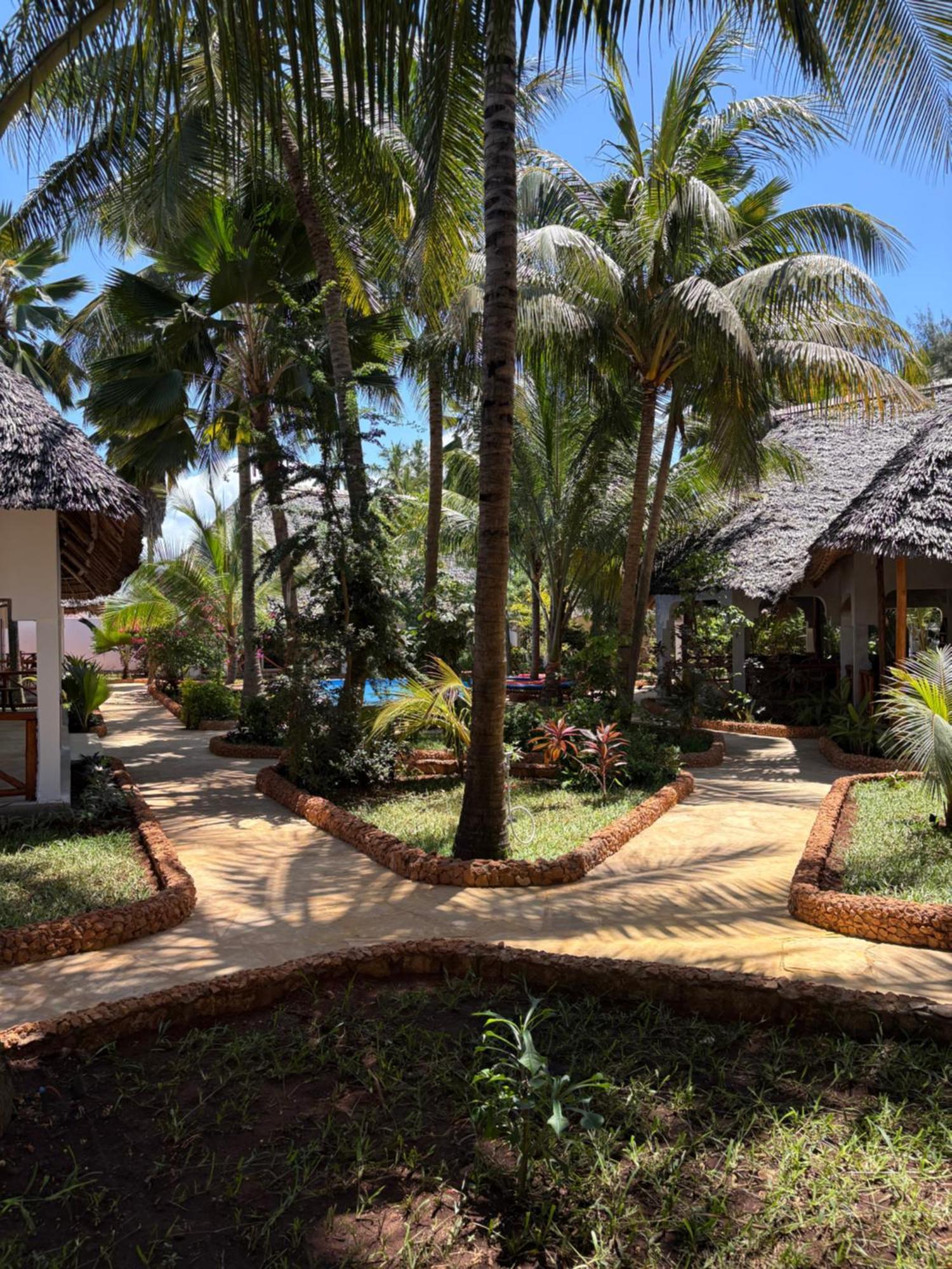 African Bungalows Nungwi Eksteriør bilde