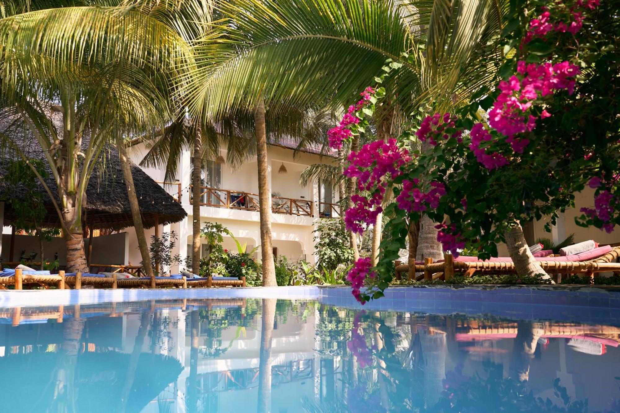African Bungalows Nungwi Eksteriør bilde